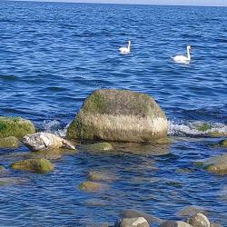 Фото Апартаменты на улице Новая дом 1