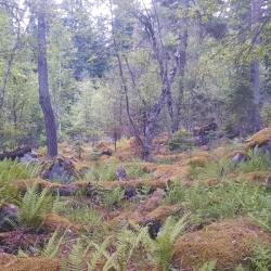 Фото Отель Тайна Гор