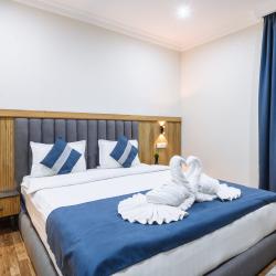 Номер премиум с двуспальной кроватью