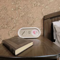 2х местный Стандарт (номер на цокольном этаже с видом на столовую и территорию отеля)