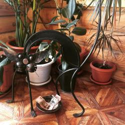 Фото Отель Русь