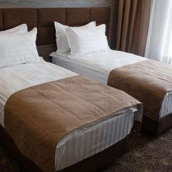 Фото Отель Родина