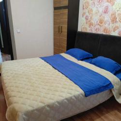 Фото Апартаменты на улице Ефремова 11