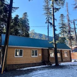 Фото Отель Пихтовый парк