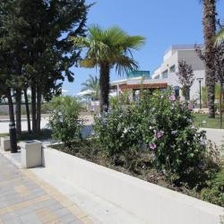 Фото Отель Страна магнолий