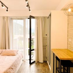 Апартаменты студия Вознесенская 3а/14