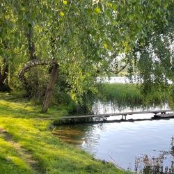 Фото Отель Medna (Медна)