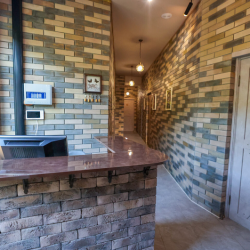 Фото Отель Шагал