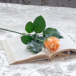 Фото Апартаменты на улице Виноградная