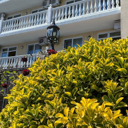 Фото Отель Сансет Хилл