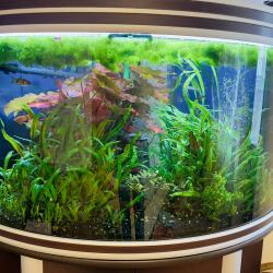 Фото Апартаменты на улице Сходненская 7