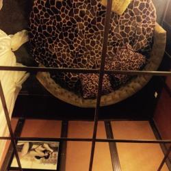 Фото Аура мини-отель