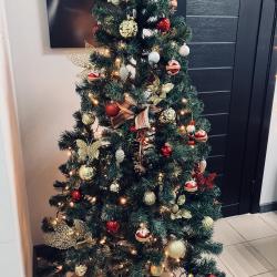 Фото ЯРхостел