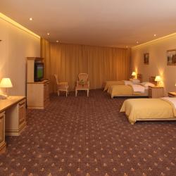 фото 51 SK Royal Hotel Moscow (СК Роял Москва)