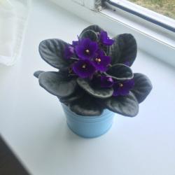 Фото Квартиркин апарт-отель