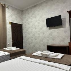 Фото Отель Shosh Avenue Hotel (Шош Авеню)