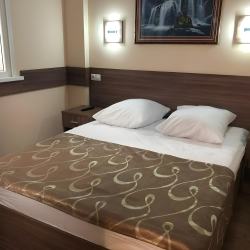 Фото Отель Ока