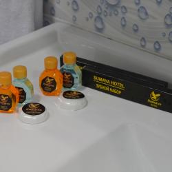 2-местный номер стандарт с 1 двуспальной кроватью