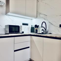 Апартаменты студия Нижний новгород ул.Родионова д.136 Б