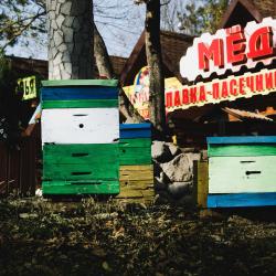 Фото Отель Старый замок