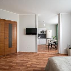 Фото Лайт Апартаменты на улице Гастелло 32А