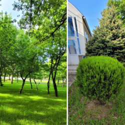 Фото Отель Пансионат Звёздный