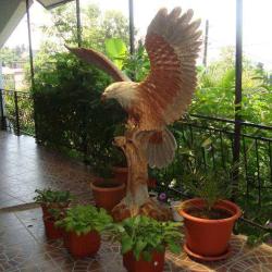 Фото Отель Эрика