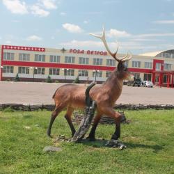 Фото Отель Роза Ветров