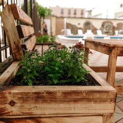 Фото Отель Пантелей