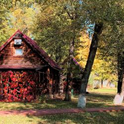 Фото Парк-отель Пересвет