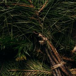 Фото Отель Villa Malina (Вилла Малина)