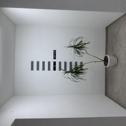 Фото Апартаменты на улице Николая Ростовцева 22