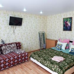 Фото Апартаменты Сутки на улице Пландина 7