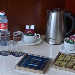 Фото Отель Grand Hotel Voyage (Гранд Вояж)
