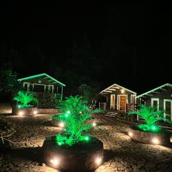 Фото Отель Флора