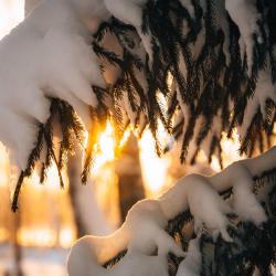 Коттедж у Озера с 3-мя спальнями (120 кв.м)