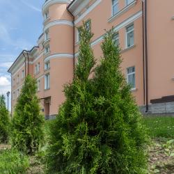 фото 4 Аветпарк Отель