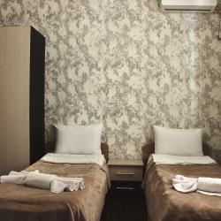 2-местный номер стандарт с 2 односпальными кроватями