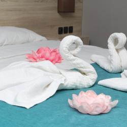 Фото Отель Altyn Shatyr Hotel (Алтын Шатыр)