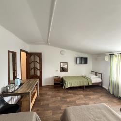 Фото Отель Домино