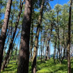 Фото Апартаменты на Комсомольском переулке