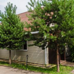 Фото Отель Volkoff Sky (Волков Скай)