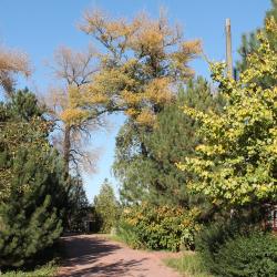 Фото Парк-отель Пересвет