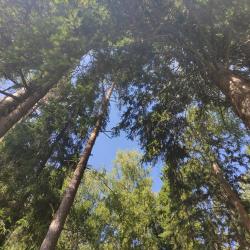 Фото Отель Прибрежный Ярбург