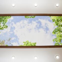 Фото Отель Arderia (Ардерия)