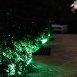 Фото Отель Белуга