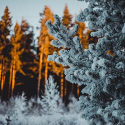 Номер люкс с балконом