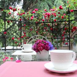 Фото Отель Iliani (Илиани)