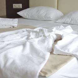 Фото Отель Элиза Инн