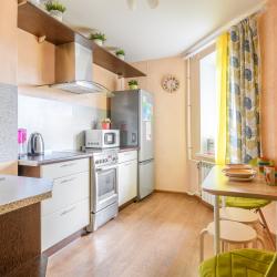 Фото Семейные апартаменты Elenahotel (Еленаотель) на проспекте Коломяжский 34 корпус 2